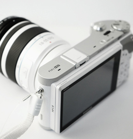panora blog