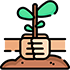 service Shape
