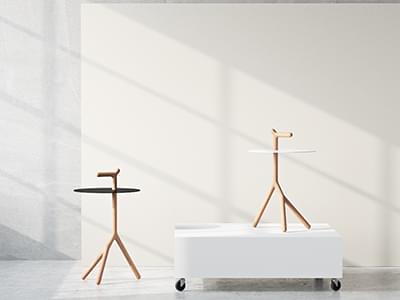 Portfolio Image