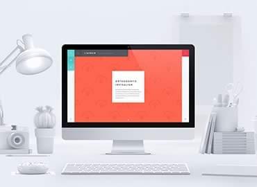 Portfolio Image