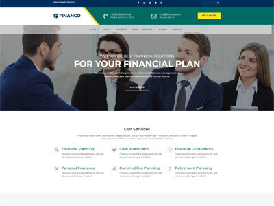 finance wordpress