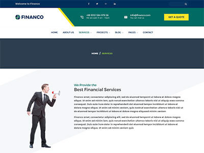 finance wordpress